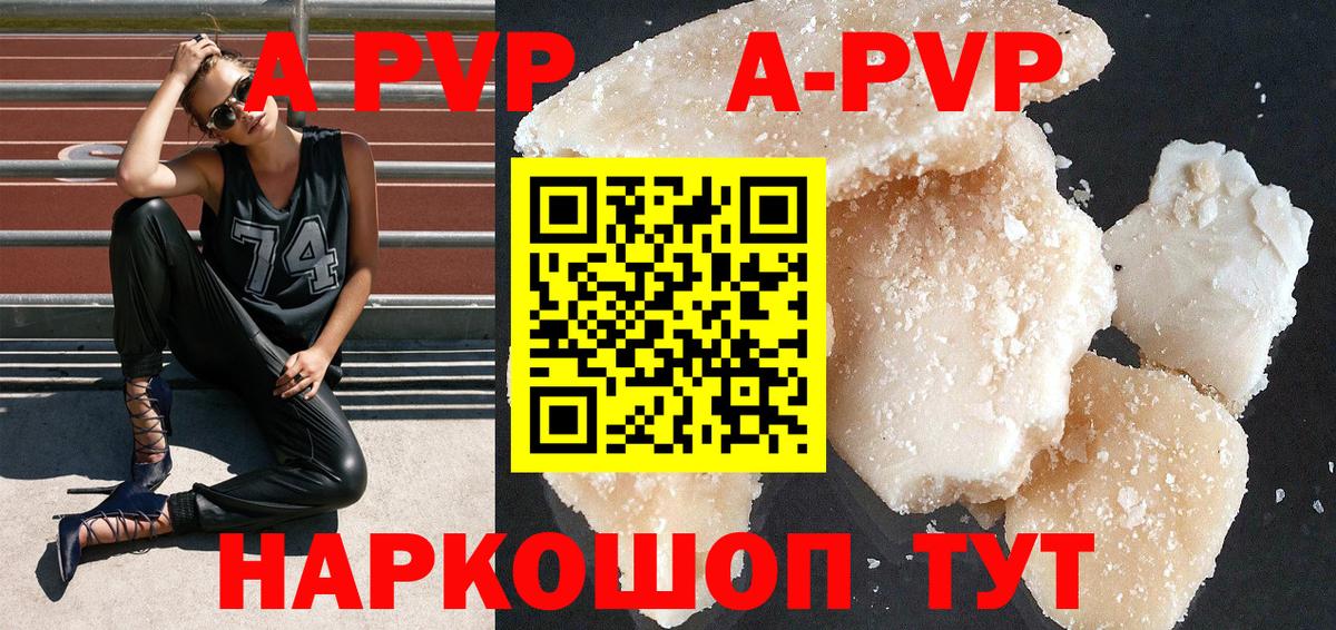 Alfa_PVP СК Елец