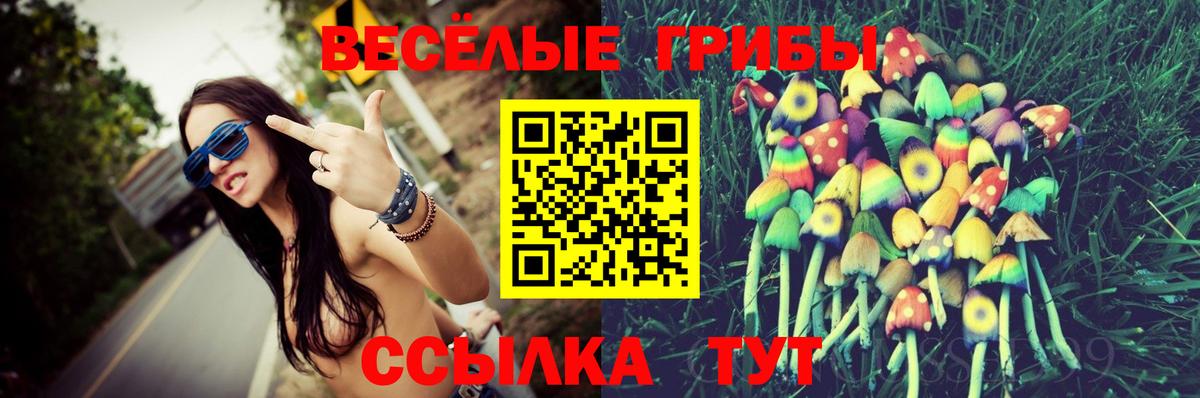 Елец  Псилоцибиновые грибы Magic Shrooms  Псилоцибиновые грибы MAGIC MUSHROOMS  Вход с VPN 